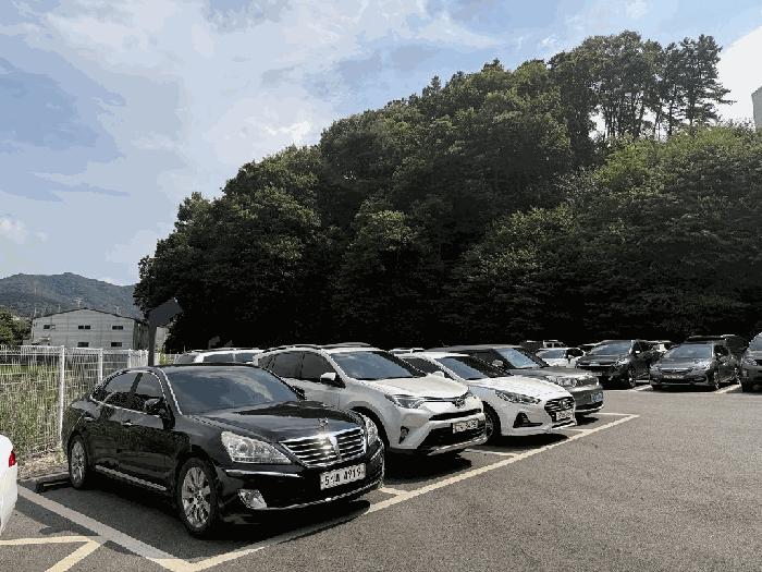 경기 용인시 처인구 임야