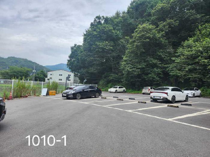 경기도 용인시 처인구 남사읍 방아리 1006-1 임야 경매 사진 7