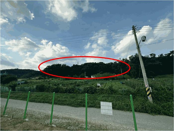 경기도 용인시 처인구 남동 산65 임야 경매 사진 1