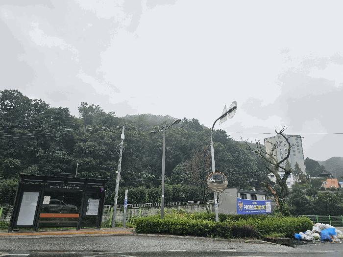 경기도 남양주시 수동면 운수리 산14-1 임야 경매 사진 3