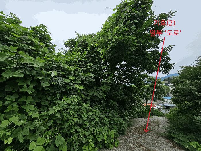 경기도 남양주시 화도읍 녹촌리 497-9 잡종지 경매 사진 3