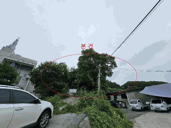 경기도 남양주시 화도읍 녹촌리 497-9 잡종지 경매 사진 6