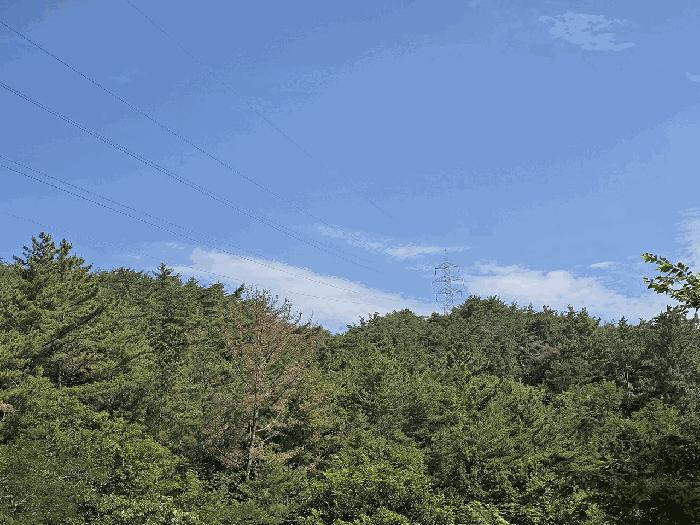 울산광역시 중구 다운동 425-4 목장용지 경매 사진 2