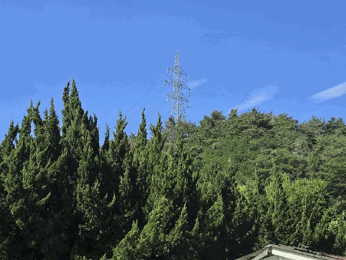 울산광역시 중구 다운동 425-4 목장용지 경매 사진 6