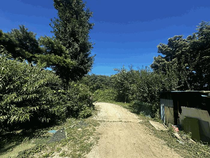 울산광역시 울주군 삼남읍 가천리 산11 임야 경매 사진 4