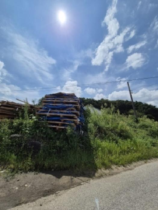 전라남도 곡성군 입면 창정리 290-1 잡종지 경매 사진 11