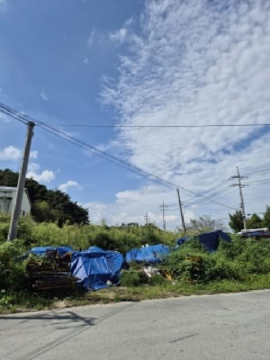 전라남도 곡성군 입면 창정리 290-1 잡종지 경매 사진 8