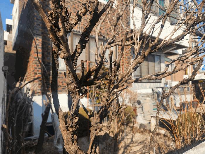 대전광역시 서구 도마동 565-22 주택 경매 사진 9