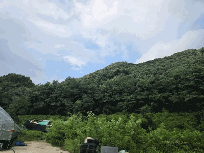 울산광역시 북구 매곡동 산18 임야 경매 사진 1