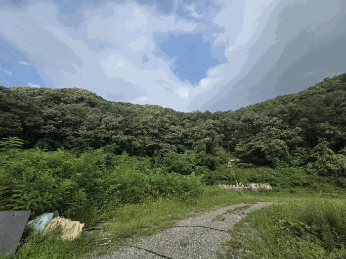 울산광역시 북구 매곡동 산18 임야 경매 사진 2