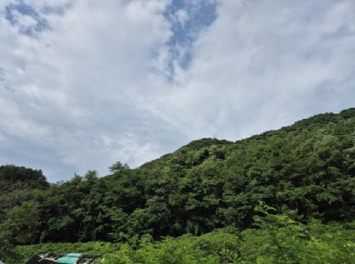 울산광역시 북구 매곡동 산18 임야 경매 사진 7