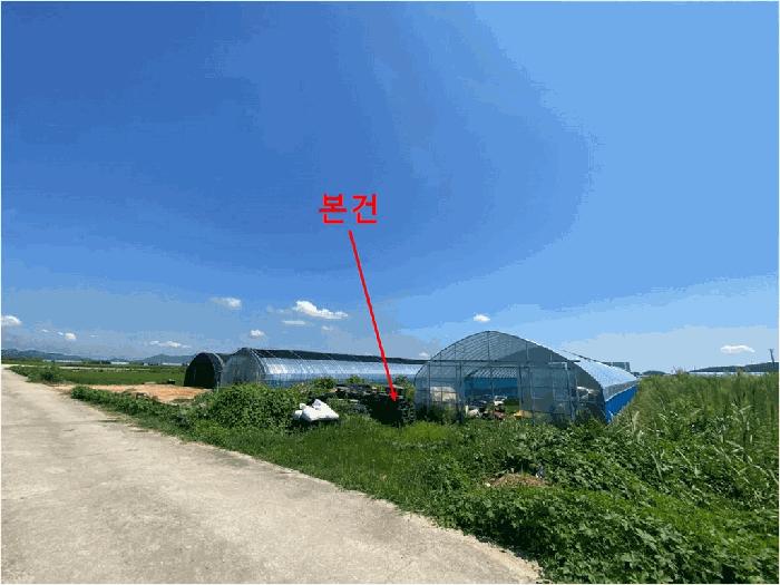 인천광역시 강화군 강화읍 대산리 1383-4 답 경매 사진 2