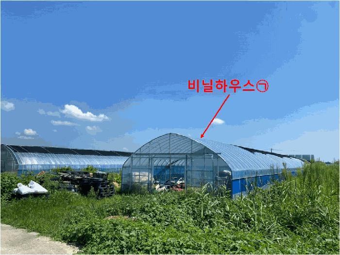 인천광역시 강화군 강화읍 대산리 1383-4 답 경매 사진 7