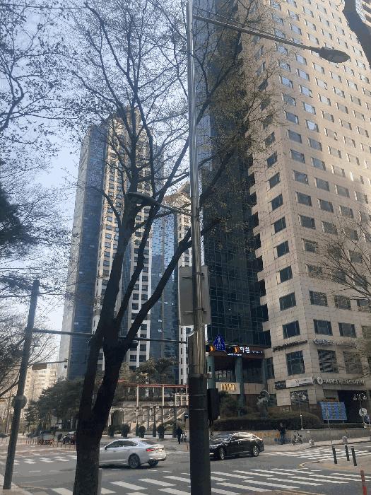 서울특별시 강남구 도곡동 467-24 우성캐릭터199 9층917호 오피스텔 경매 사진 5