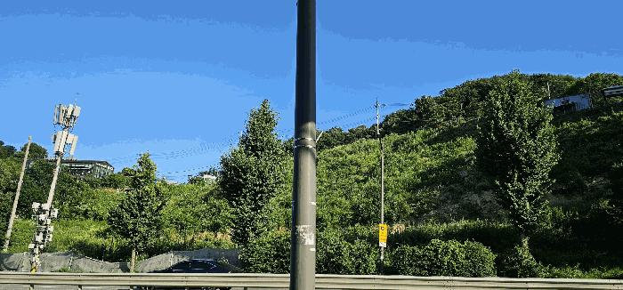 경기도 남양주시 화도읍 묵현리 388-53 임야 경매 사진 1