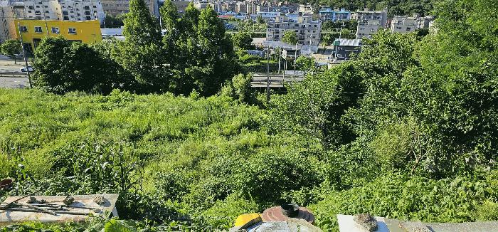 경기도 남양주시 화도읍 묵현리 388-53 임야 경매 사진 11