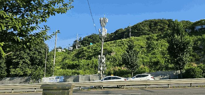 경기도 남양주시 화도읍 묵현리 388-53 임야 경매 사진 13
