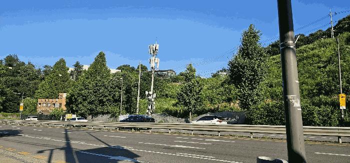 경기도 남양주시 화도읍 묵현리 388-53 임야 경매 사진 14