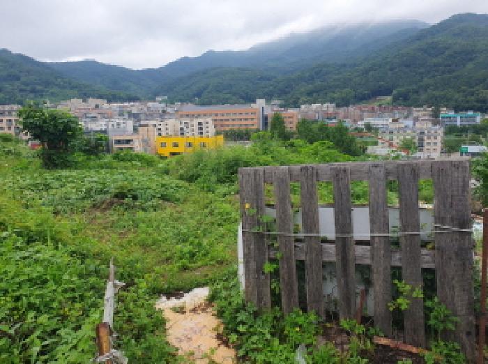 경기도 남양주시 화도읍 묵현리 388-53 임야 경매 사진 17