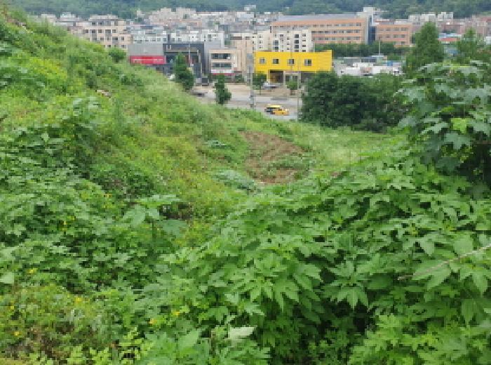 경기도 남양주시 화도읍 묵현리 388-53 임야 경매 사진 18