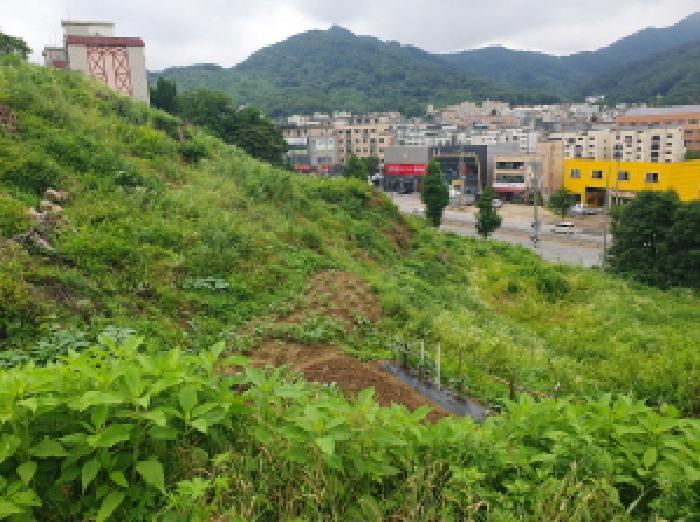 경기도 남양주시 화도읍 묵현리 388-53 임야 경매 사진 19