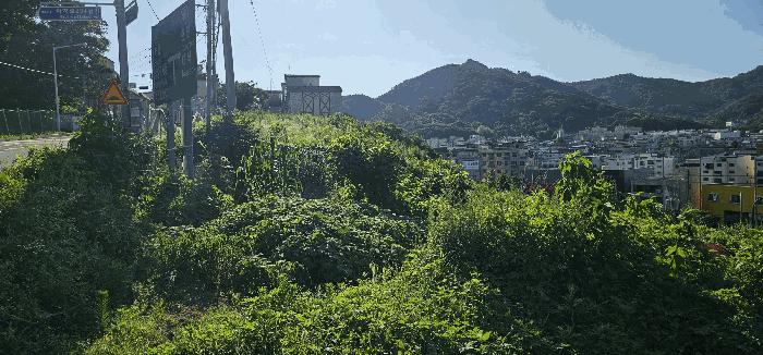 경기도 남양주시 화도읍 묵현리 388-53 임야 경매 사진 3