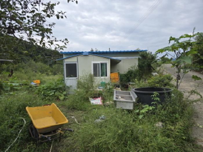 경상북도 영천시 화남면 금호리 1238-4 창고 경매 사진 11
