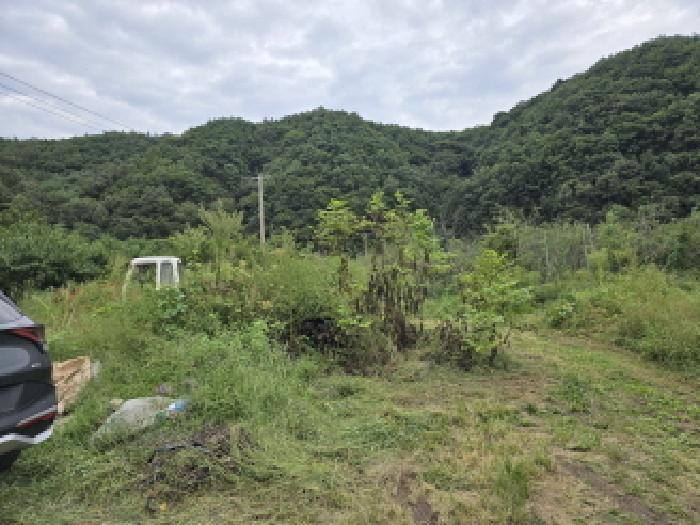 경상북도 영천시 화남면 금호리 1238-4 창고 경매 사진 13