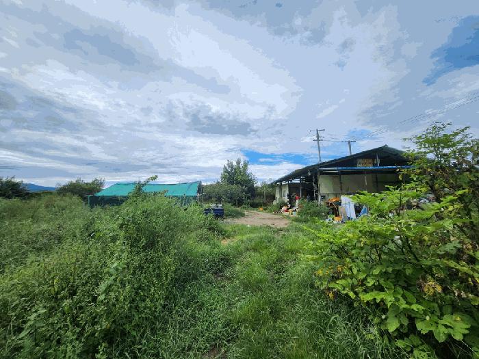 경상북도 영천시 화남면 금호리 1238-4 창고 경매 사진 18
