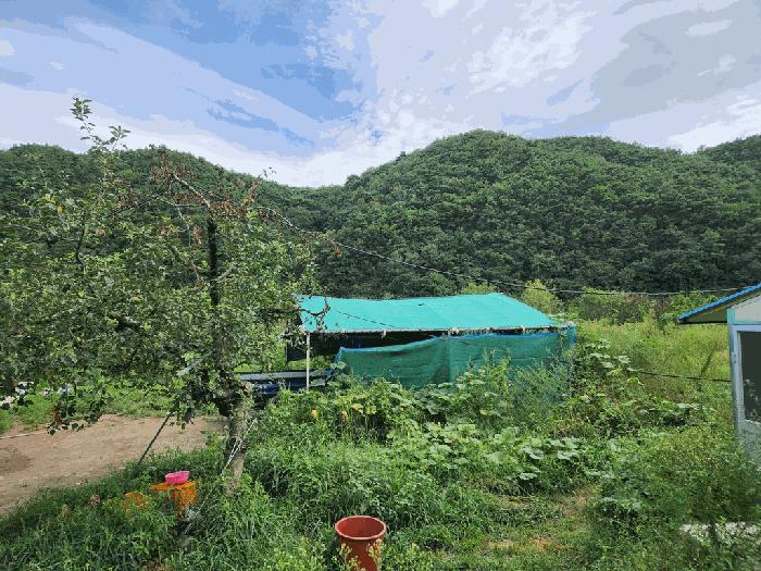 경상북도 영천시 화남면 금호리 1238-4 창고 경매 사진 6