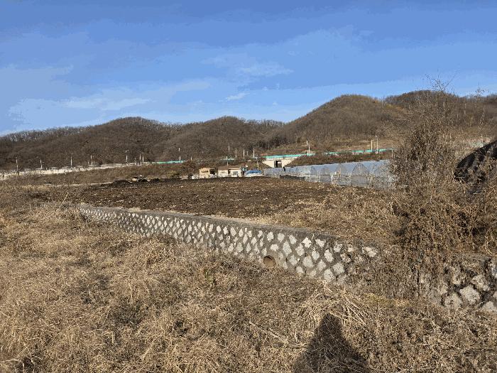 경기도 파주시 적성면 장현리 389-4 전 경매 사진 3