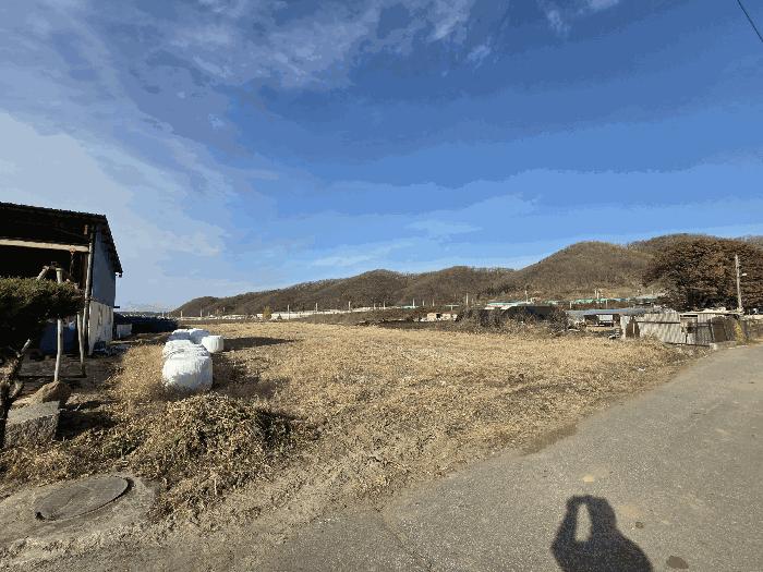 경기도 파주시 적성면 장현리 389-4 전 경매 사진 4
