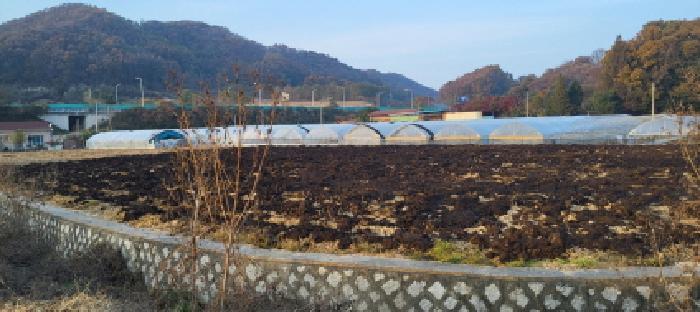 경기도 파주시 적성면 장현리 389-4 전 경매 사진 6
