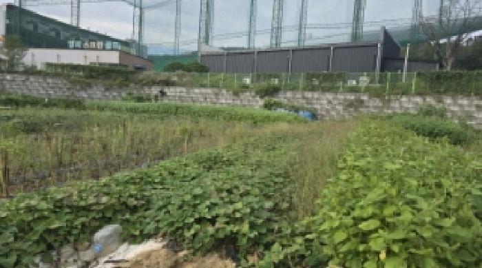 대구광역시 북구 관음동 123-1 답 경매 사진 5