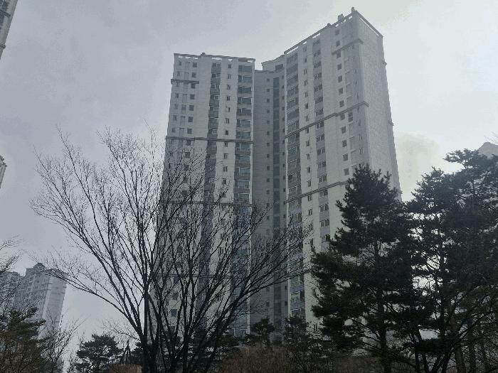 경기도 고양시 일산서구 덕이동 1529 하이파크시티 일산파밀리에2단지 201동 17층1703호 아파트 경매 사진 1