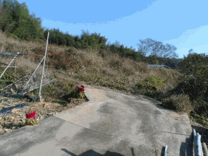 전라남도 담양군 담양읍 가산리 387 임야 경매 사진 2
