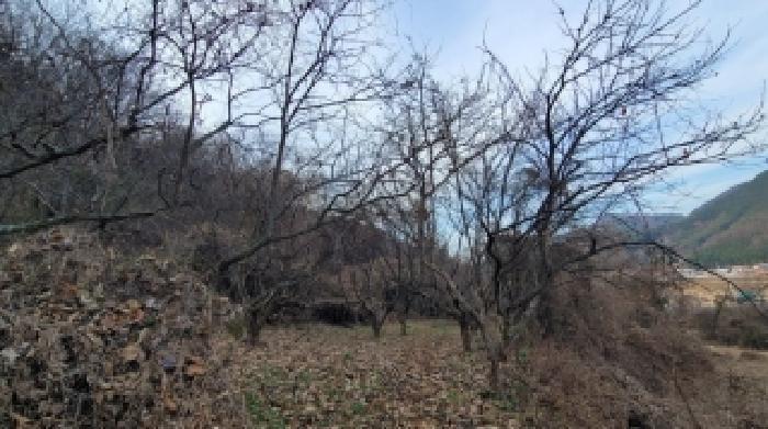 경상남도 의령군 지정면 봉곡리 940 전 경매 사진 8