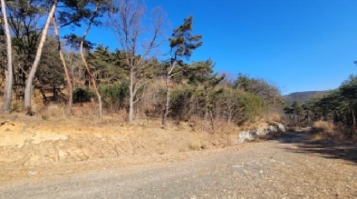 경상남도 의령군 부림면 묵방리 산60 임야 경매 사진 2