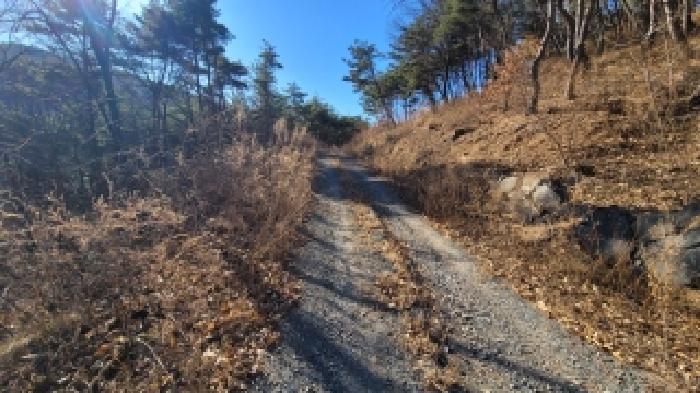경상남도 의령군 부림면 묵방리 산60 임야 경매 사진 3