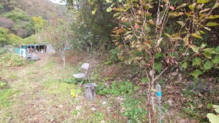 경상남도 창원시 마산합포구 진동면 동전리 1113 답 경매 사진 17