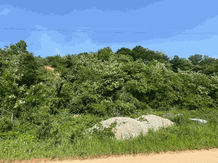 경기도 화성시 송산면 고포리 산216-8 임야 경매 사진 4