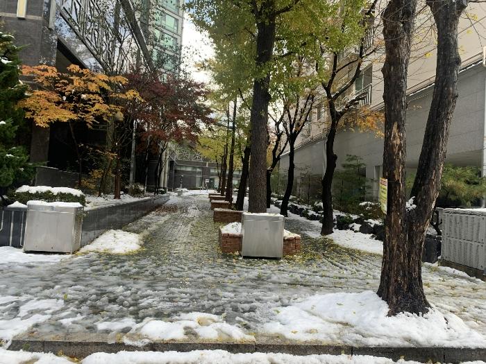 인천광역시 연수구 벚꽃로 130-4, 7층202동-703호 (연수동,연수푸르지오2단지)구) 인천광역시 연수구 연수동 593 오피스텔 경매 사진 12
