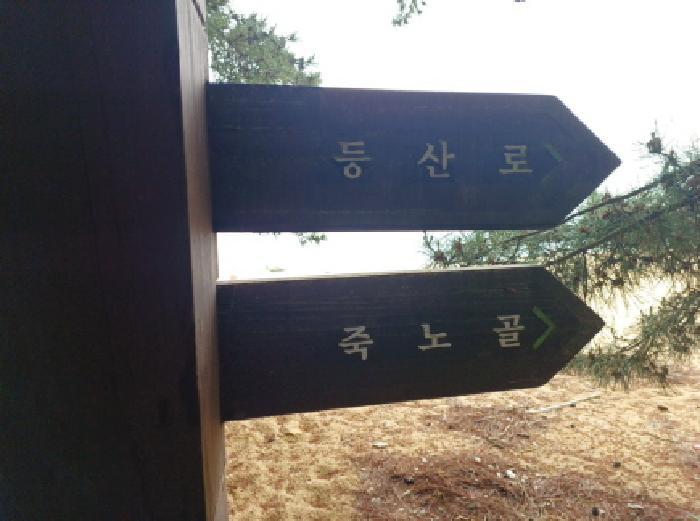 인천광역시 옹진군 덕적면 소야리 402 답 경매 사진 10