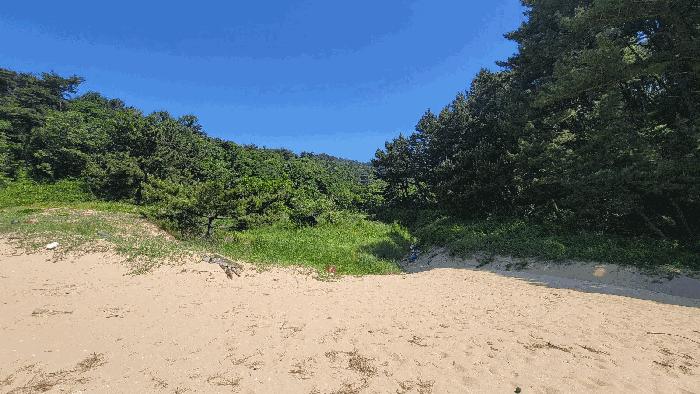 인천광역시 옹진군 덕적면 소야리 402 답 경매 사진 5