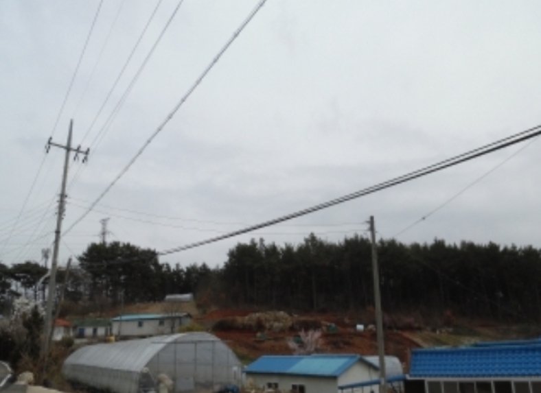 충청남도 서산시 지곡면 환성리 719-1 전 경매 사진 11