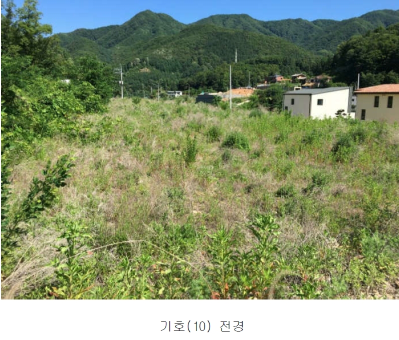 경기도 양평군 서종면 수입리 163-1 외 21필지 대지 경매 사진 11