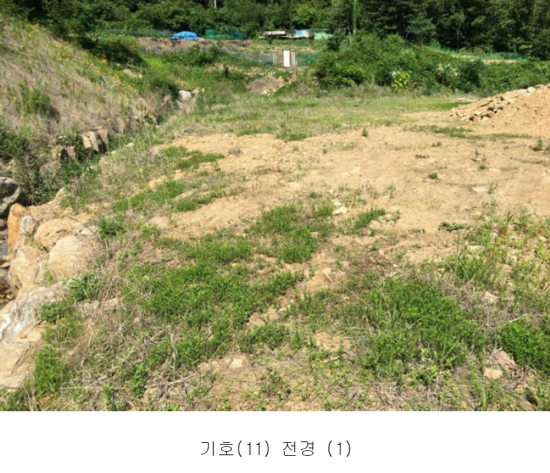 경기도 양평군 서종면 수입리 163-1 외 21필지 대지 경매 사진 12
