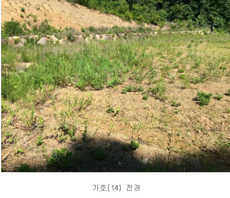경기도 양평군 서종면 수입리 163-1 외 21필지 대지 경매 사진 16