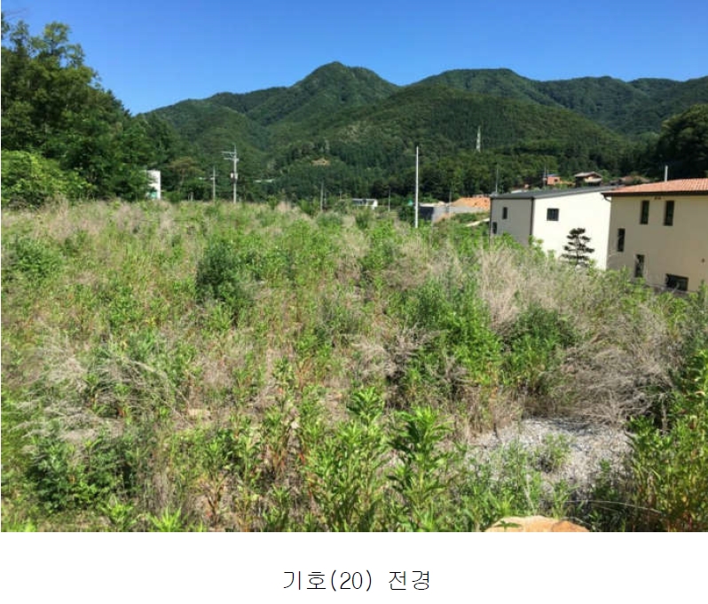 경기도 양평군 서종면 수입리 163-1 외 21필지 대지 경매 사진 20
