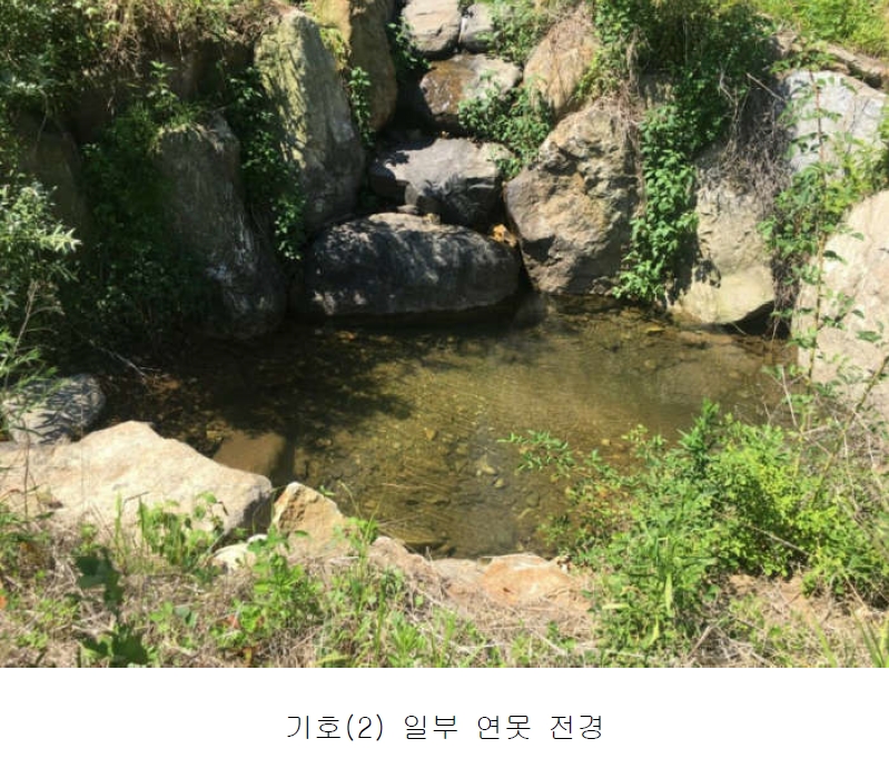 경기도 양평군 서종면 수입리 163-1 외 21필지 대지 경매 사진 22